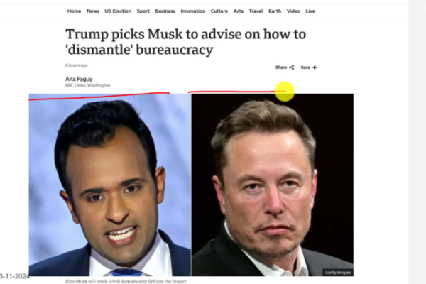 Government Efficiency, Trump, Elon Musk, Public Service, Bureaucracy